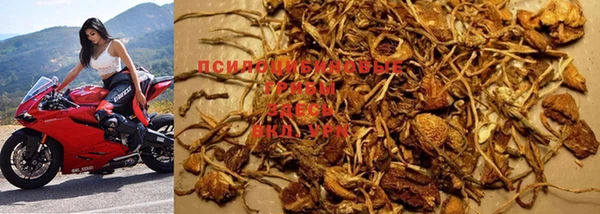 a pvp Новодвинск