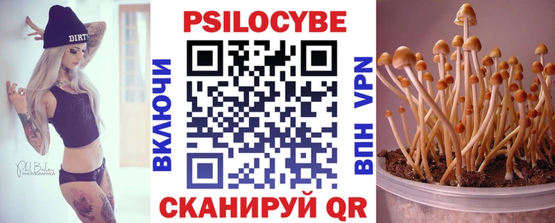 Купить где  Углегорск  Псилоцибиновые грибы MAGIC MUSHROOMS 