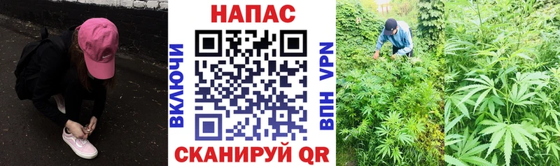 Конопля ГИДРОПОН  Купить закладки  Углегорск 